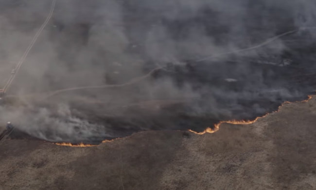 Пожары в Чернобыльской зоне. Фото: Радио Свобода