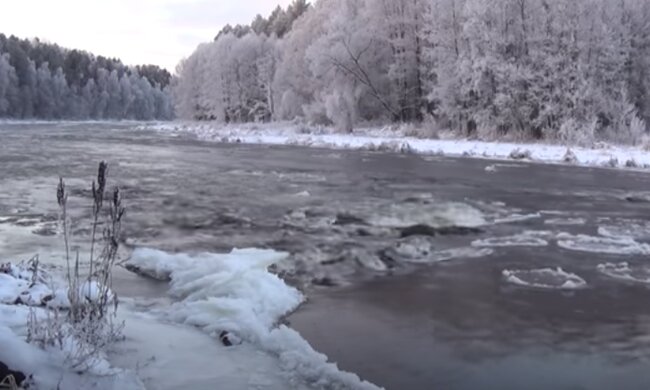 Природа взимку. Фото: скріншот YouTube-відео