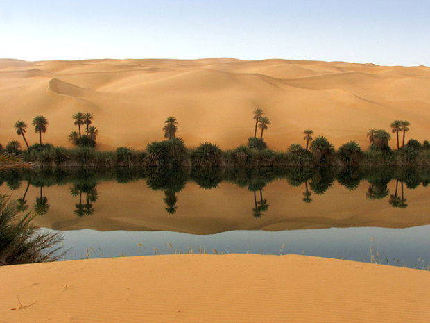 Глобальное потепление превратит Сахару в цветущий сад
