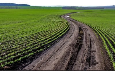 Как здесь не бояться: немецкие фермеры уже потирают руки на украинскую землю