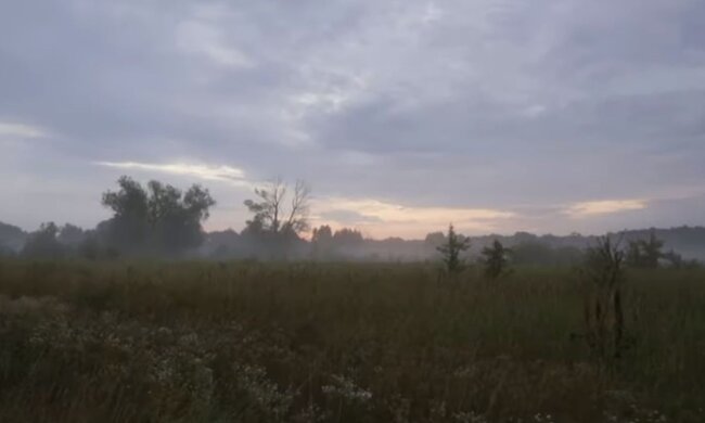 Природа. Фото: скриншот YouTube-видео