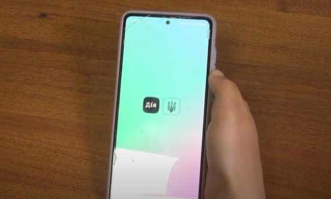 Приложение Дія. Фото: скриншот YouTube-видео