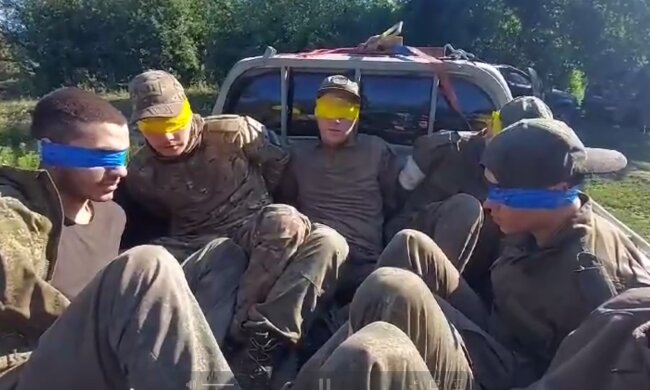 "Пазл сложился - кадыровцы договорились с ВСУ": на болотах масштабная зрада - Курскую область отдали