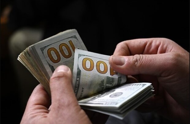 Курс валют в Україні, долар, обмін валют, НБУ. Фото: Telegram