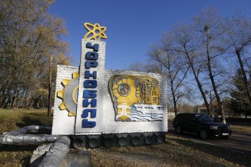 В Чернобыльском заповеднике живет множество диких животных, фото: Униан