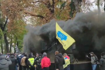Протест под Радой. Фото: скриншот Youtube-видео