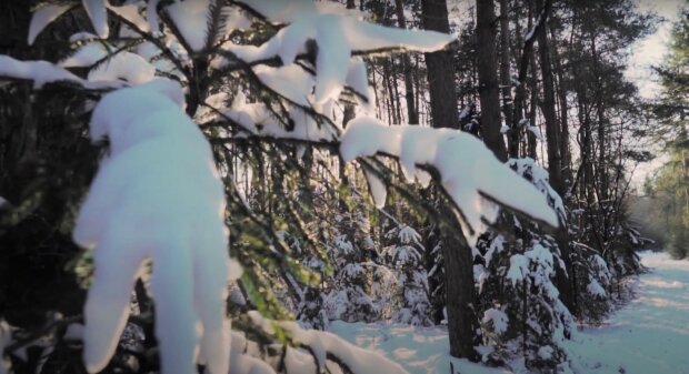 Зима. Фото: YouTube, скрин