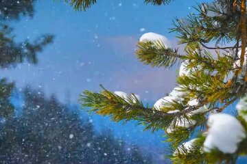 Погода, зима. Фото: YouTube