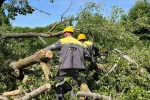 ДТЭК вернул свет более чем 50 тысячам семей в Киевской области после непогоды