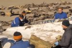 Иран намерен сотрудничать с Украиной в расследовании катастрофы самолета МАУ. Фото: YouTube