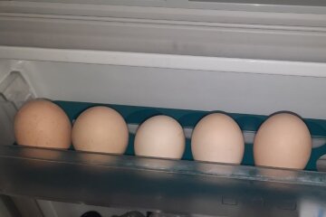 Яйця. Фото: Ukrainianwall