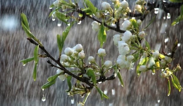 В Днепре на выходных будет пасмурно и дождливо: прогноз погоды на 25 и 26 апреля