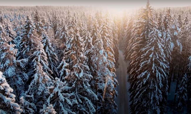 Природа. Фото: YouTube, скрін