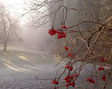 До минус 5 и все в тучах: синоптики предупредили о плохой погоде в воскресенье