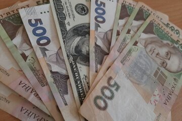 Гроші. Фото: Стіна
