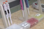 Медики провели исследование