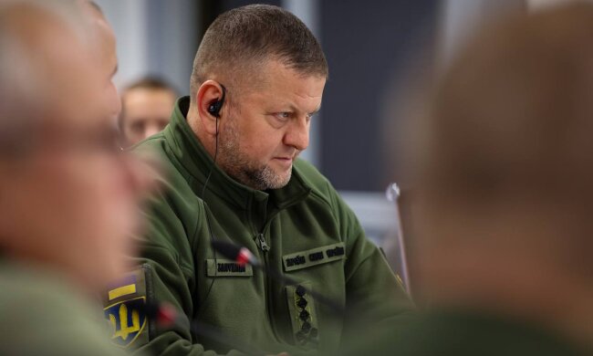 Валерій Залужний. Фото: Telegram