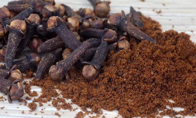 Спеції. Фото: youtube.com