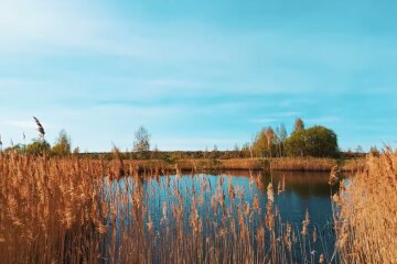 Природа.  Фото: скриншот YouTube-видео