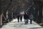 Погода в Украине весной. Фото: скриншот YouTube-видео