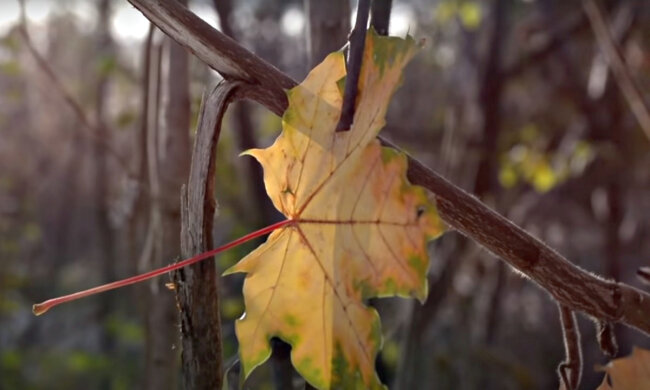 Погода в Україні. Фото: скріншот YouTube-відео.