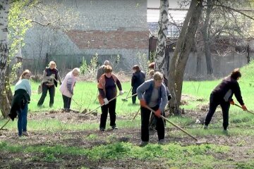 Общественно-полезные работы. Фото: YouTube, скрин