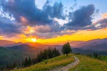 Природа. Фото: скріншот YouTube-відео