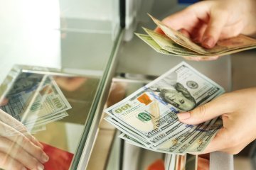 Курс по межбанку остановился на отметке в 24,19 гривен за доллар