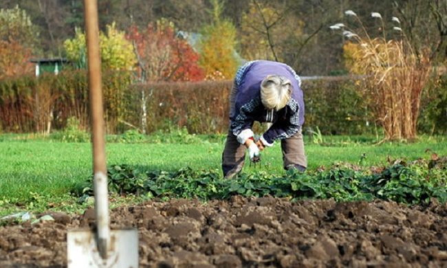 Земельный участок