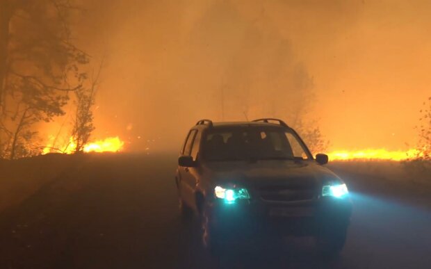 Пожары в Луганской области. Фото: скриншот Youtube