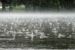 На Тернопольщине на отдыхающих неожиданно обрушился шторм: подробности инцидента