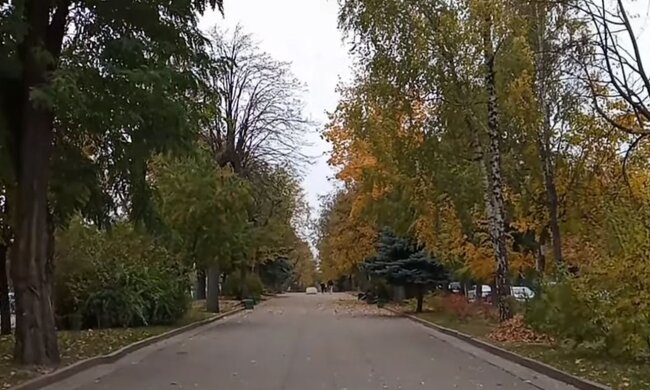 Парк осенью. Фото: скриншот YouTube-видео