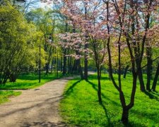 Погода, весна, потепління. Фото: Стіна