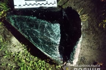 Резонансное ДТП в Винницкой области: ищут очевидцев и виновника