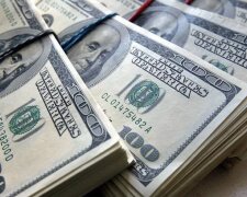 Курс валют в Украине, доллар, Минфин, НБУ. Фото: Telegram