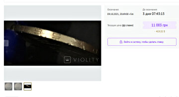 Монеты Украины. Фото: violity.com