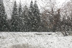 Погода