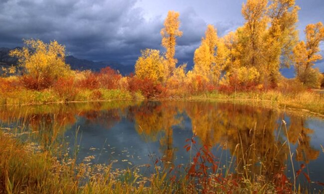 Погода на 11 октября 2020 года