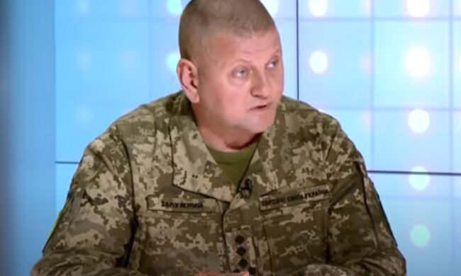 Віталій Залужний. Фото: скріншот YouTube-відео