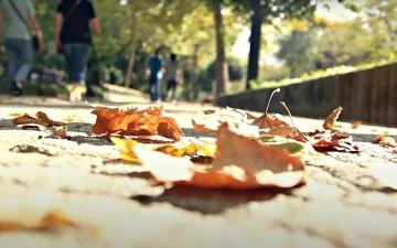 Погода в Украине. Фото: скриншот YouTube-видео.