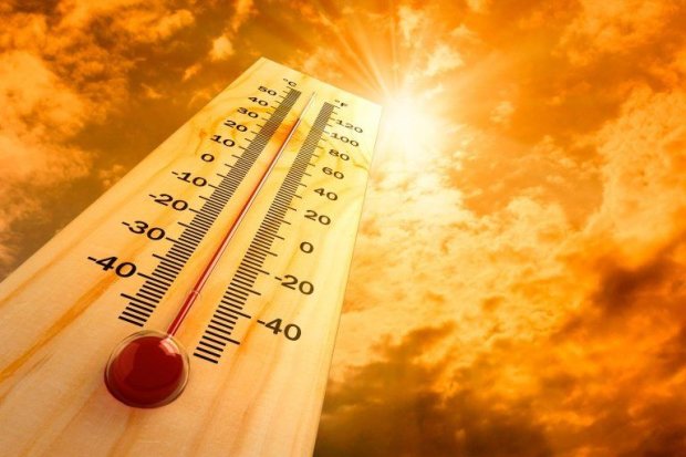 Солнечно и жарко: синоптики дали хороший прогноз на воскресенье