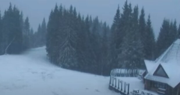 В Карпаты неожиданно вернулась настоящая зима. Фото: скриншот YouTube