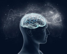 Ученые обнаружили новую область мозга, которая делает уникальным каждого человека