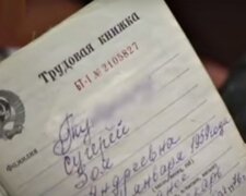 Трудовая книжка СССР. Фото: скриншот YouTube-видео.