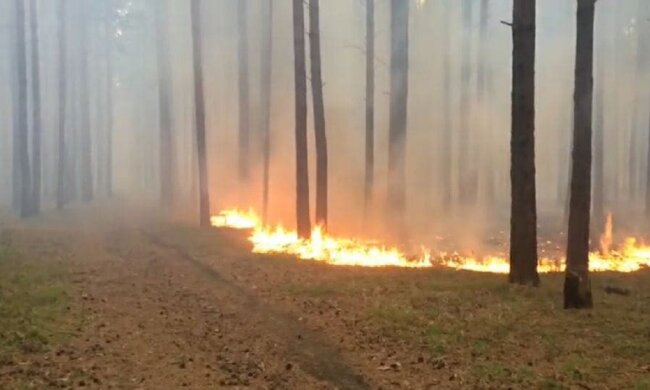 Високий рівень небезпеки. Фото: скріншот Youtube-відео