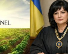 Возможный сговор с банком и сын судьи Погребной, уволенный из прокуратуры, - новые подробности иска Kernel в "Сенс Банк" на 1,75 млрд грн