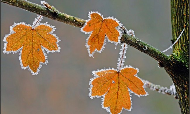 Погода на 23 ноября 2019 года