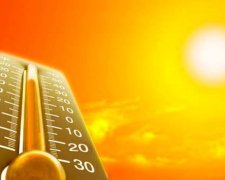 Убийственная жара: от аномальной температуры погибло уже 36 человек