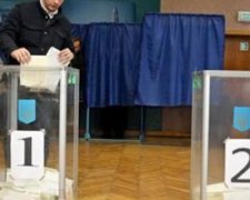Порошенко один голос на выборах «влетел» в 141 грн, Бойко — 23 грн, а Насирову аж в тысячу