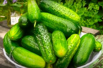 Огірки. Фото: YouTube